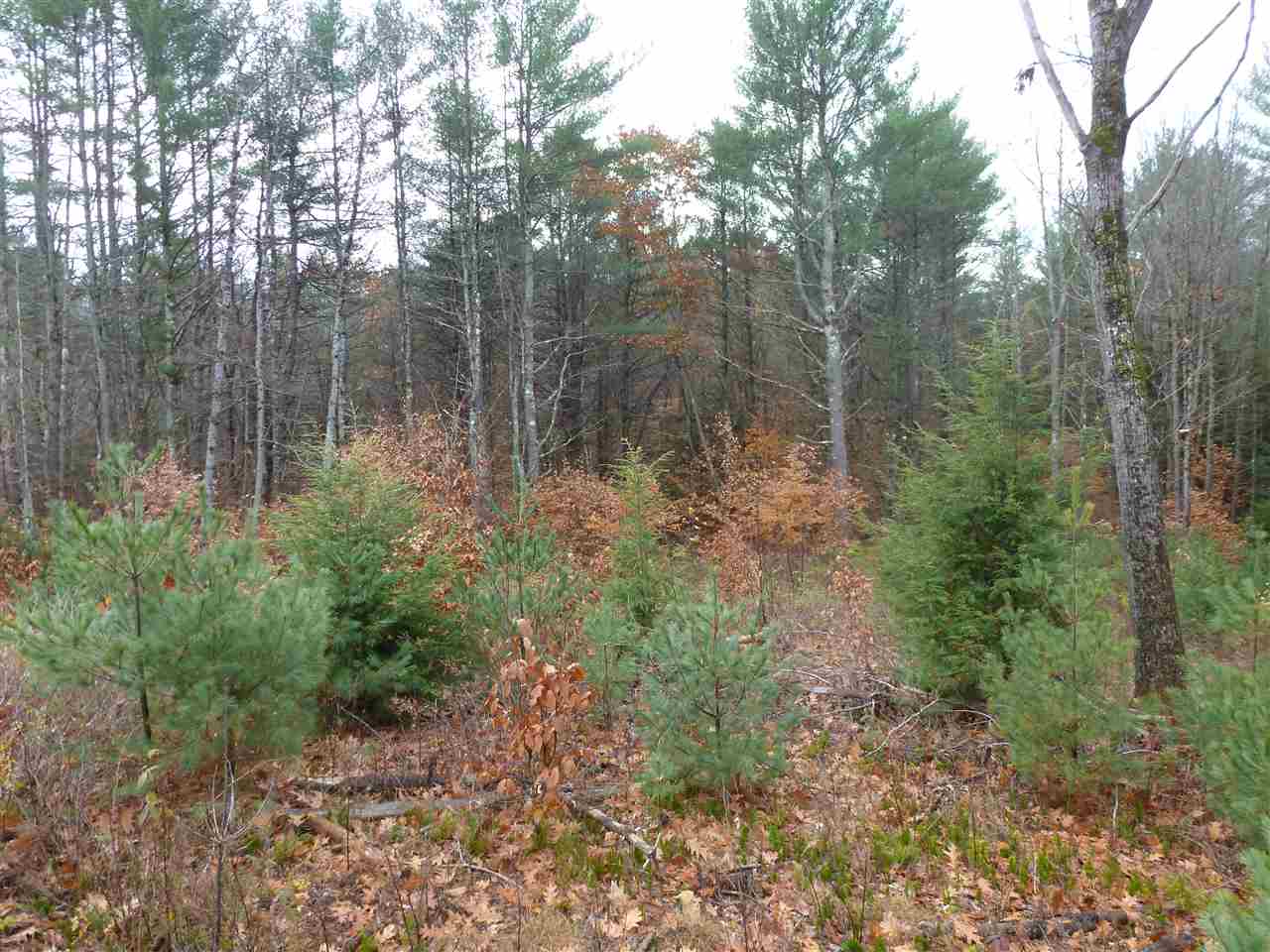 50 Nash Corner Road Gilsum, NH 03448 - Photo 5 of 6