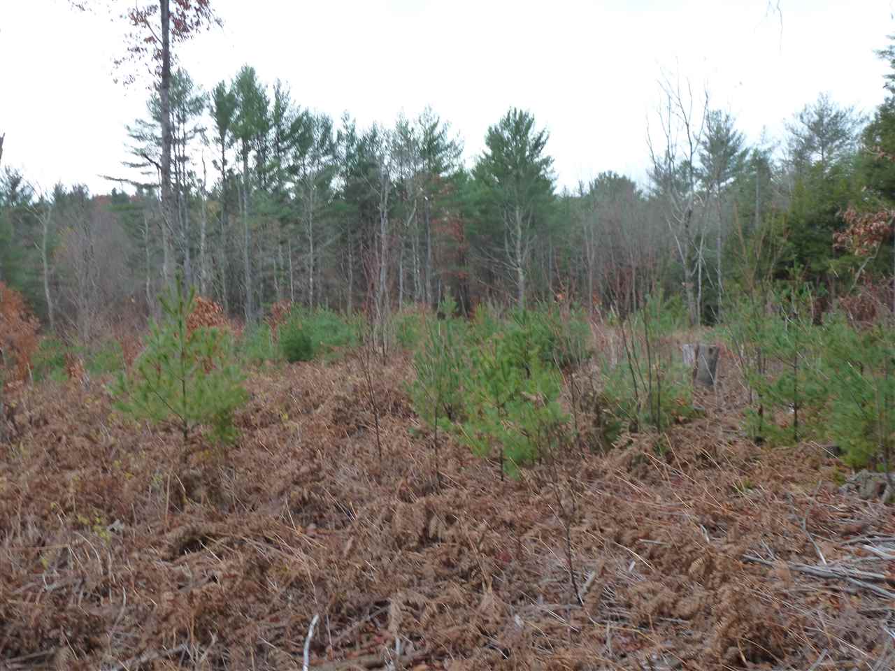 50 Nash Corner Road Gilsum, NH 03448 - Photo 6 of 6