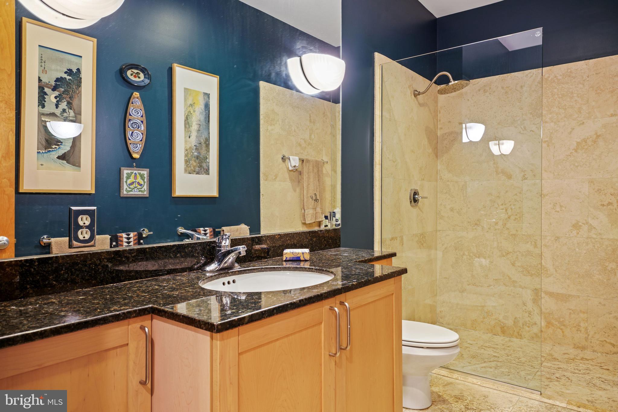 1741 Johnson Avenue Northwest, Unit 102 Washington, DC 20009 - Photo 26 of 43