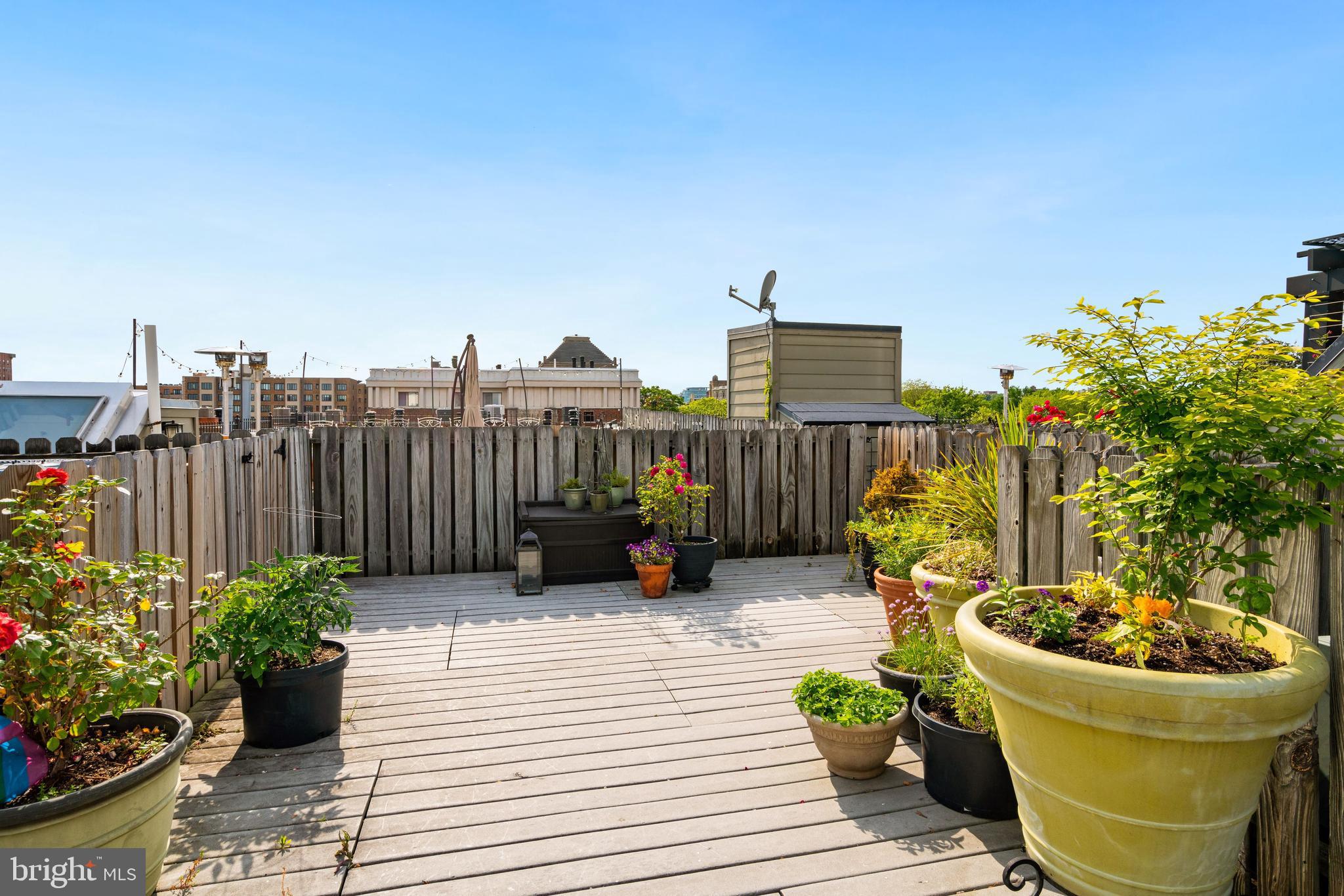 1741 Johnson Avenue Northwest, Unit 102 Washington, DC 20009 - Photo 34 of 43