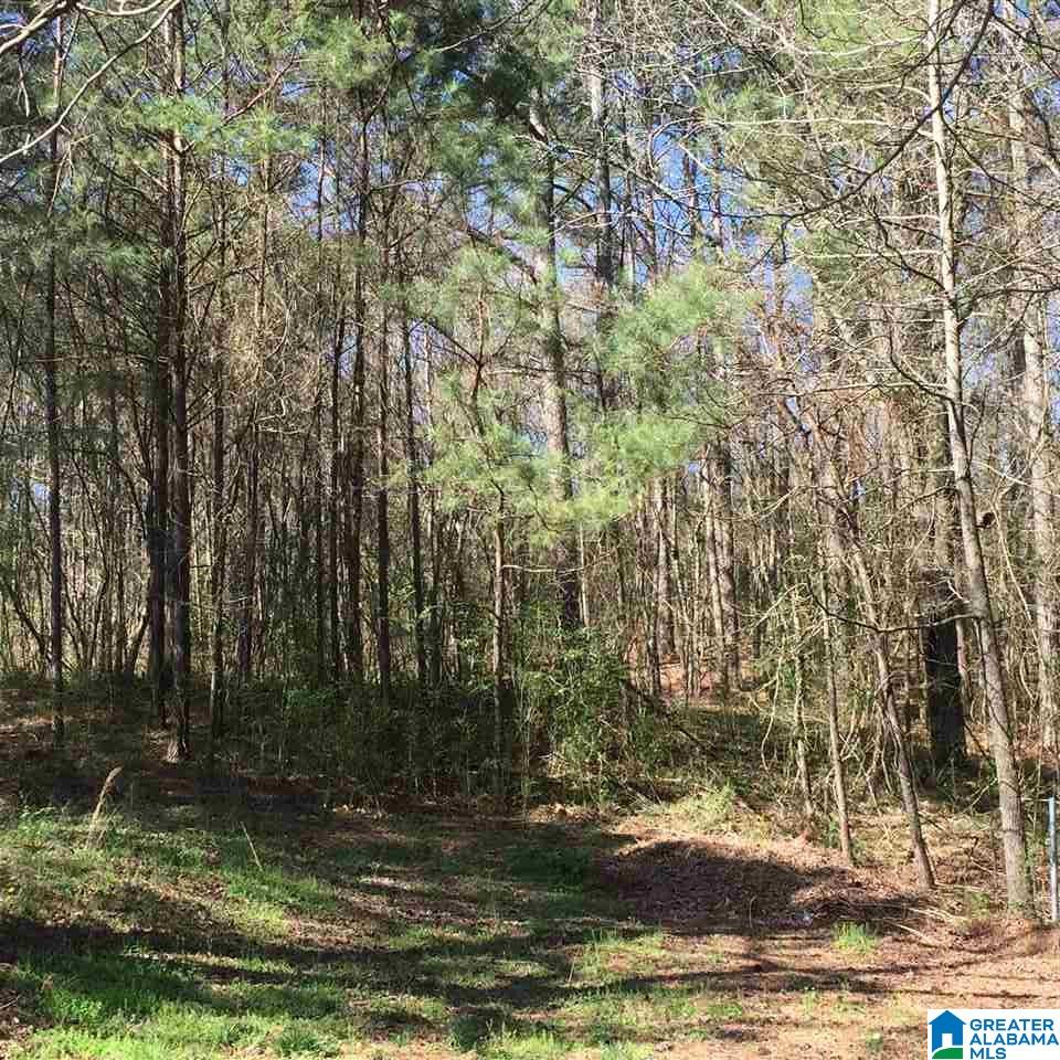 4925 Cahaba Valley Road, Unit 2 Birmingham, AL 35242 - Photo 7 of 8
