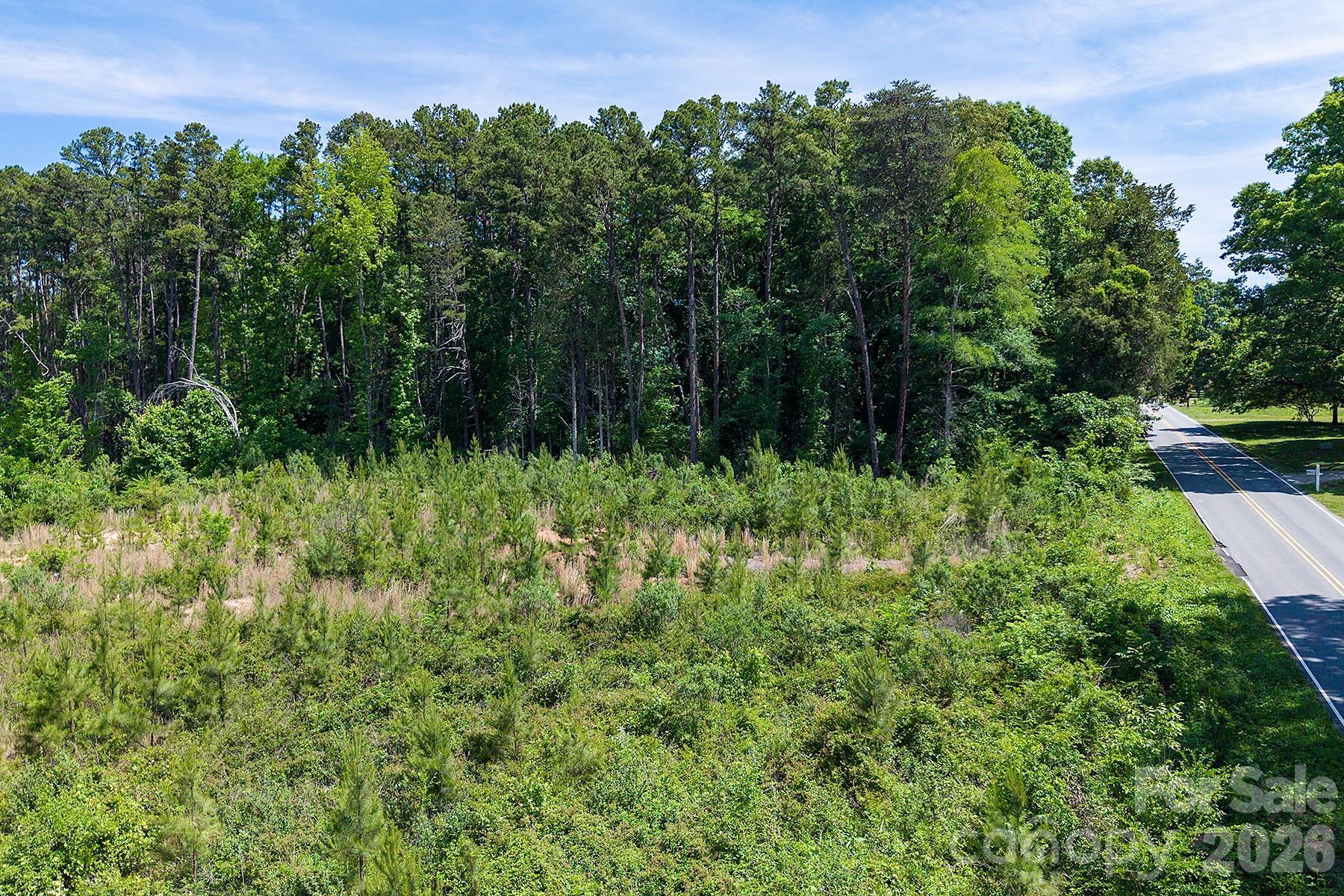 13745 Ramah Church Road Huntersville, NC 28078 - Photo 11 of 17 a view of a lush green forest