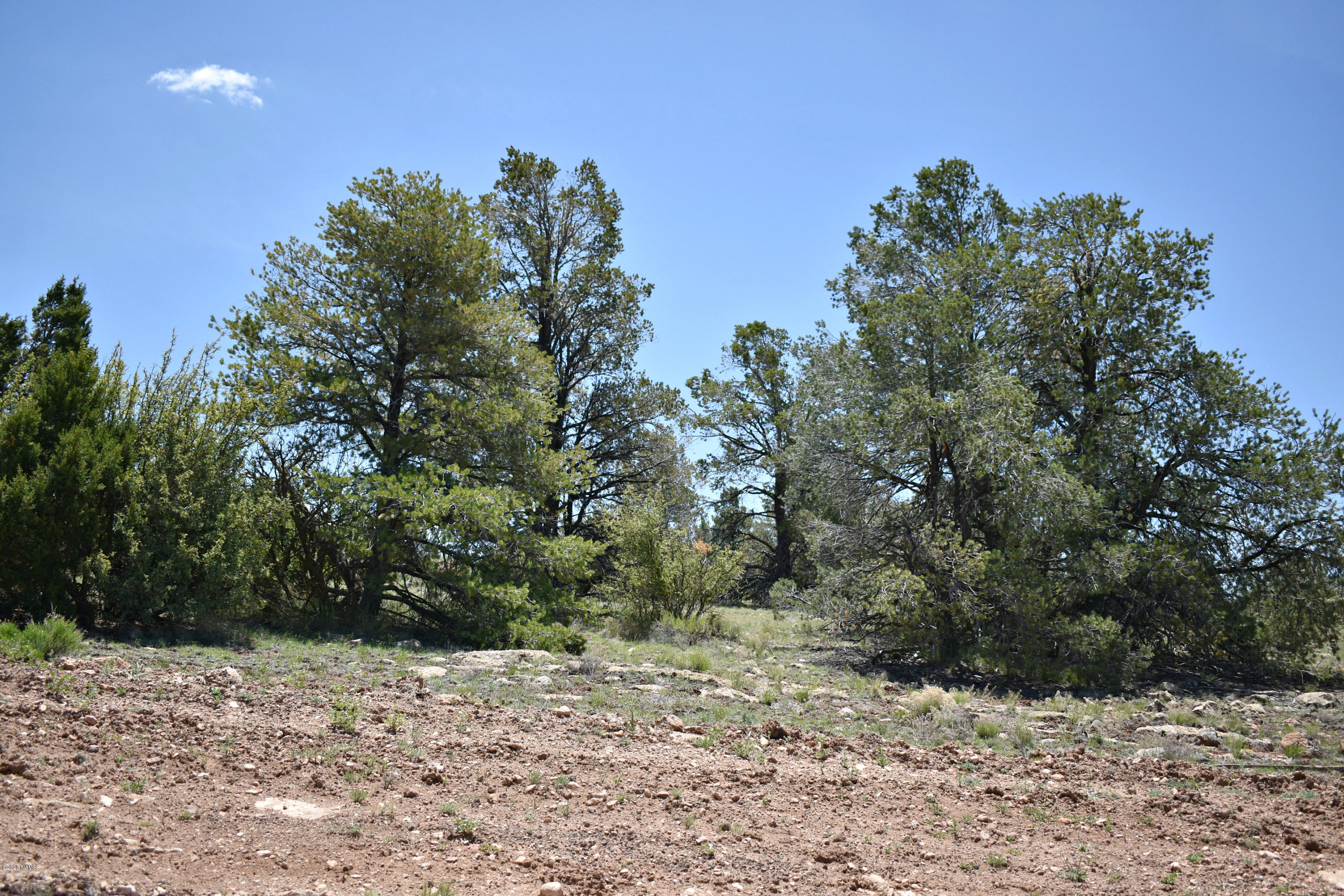 10654 West Red Bluff Road Williams, AZ 86046 - Photo 22 of 28 DSC_0067a