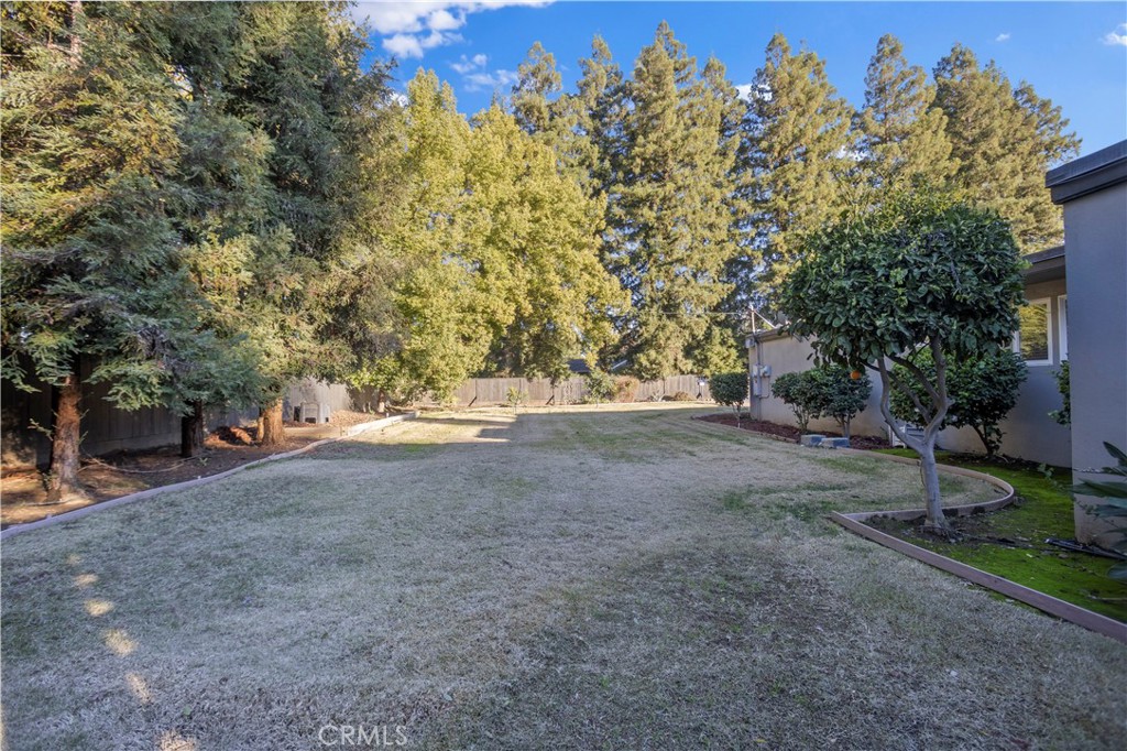 2858 Forist Lane Merced, CA 95340 - Photo 50 of 57 Rear side backyard with lots of space and lined with beautiful mature trees for privacy.