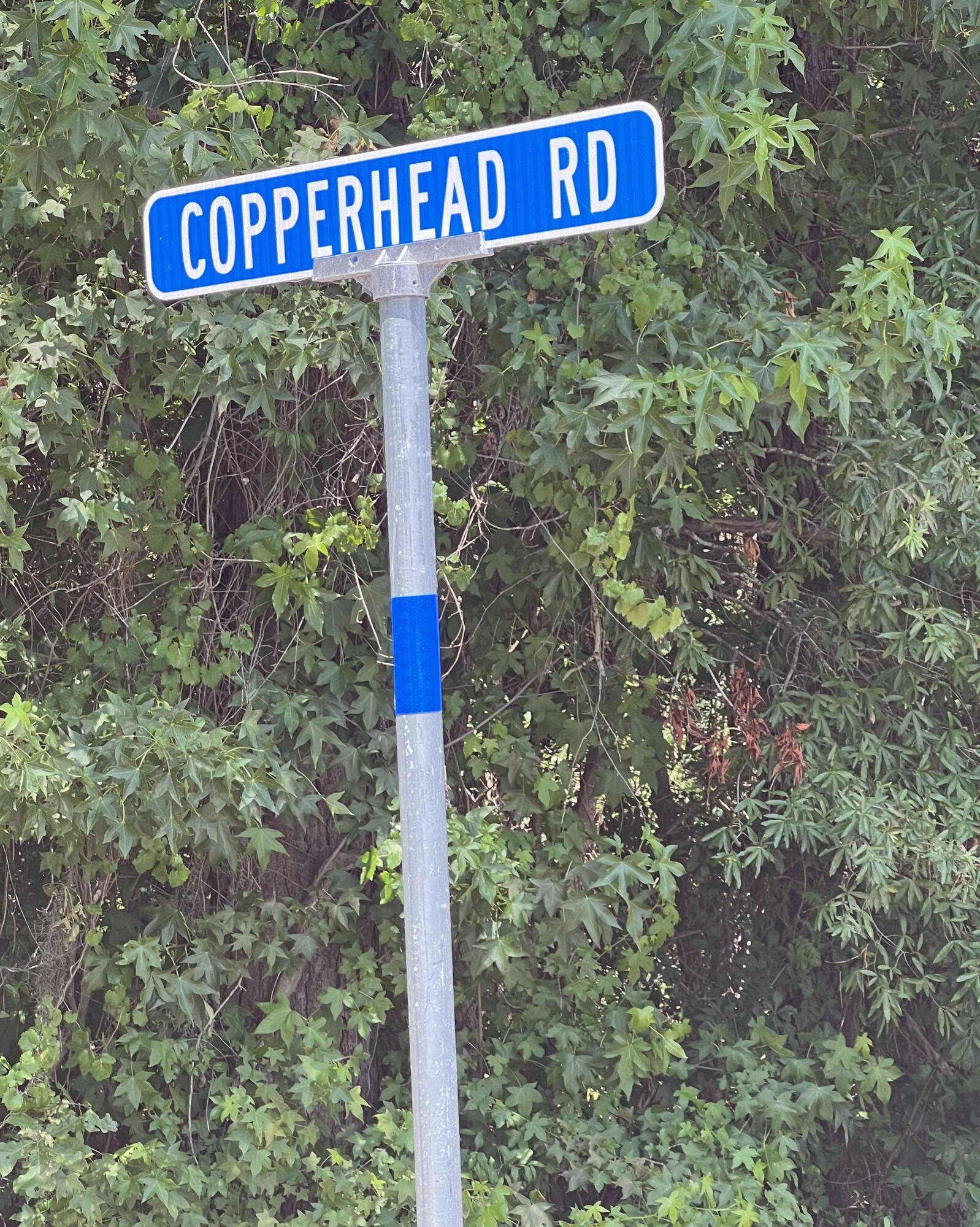 1083 Copperhead Road Manning, SC 29102 - Photo 57 of 57 35