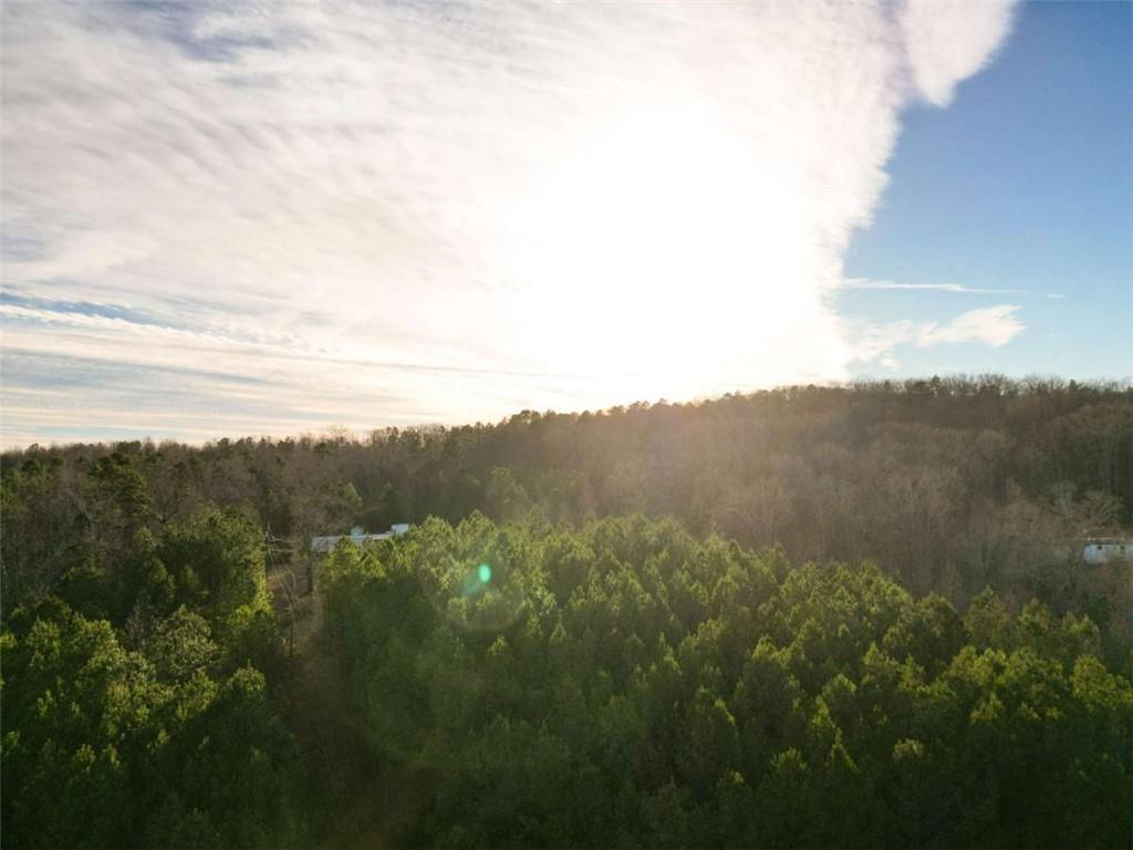 750 Flowery Branch Road Kingston, GA 30145 - Photo 4 of 6 a view of a mountain range with lush green forest