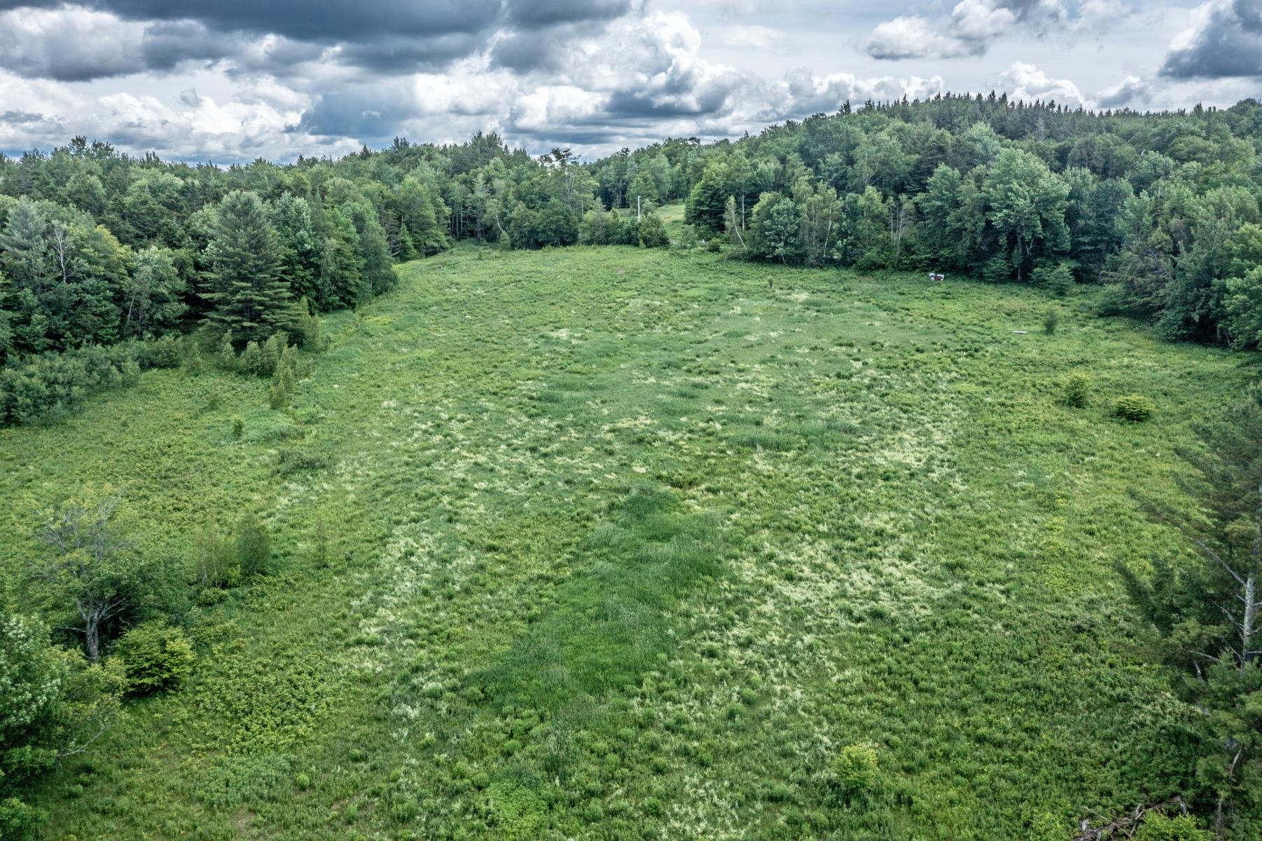 877 Grow Road Johnson, VT 05656 - Photo 11 of 20 Gallery Image 11