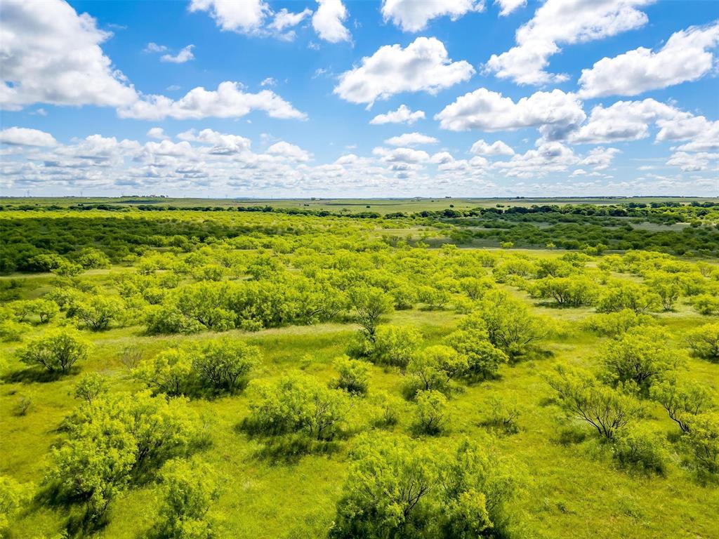 0 Flinn Road Bellevue, TX 76228 - Photo 19 of 35 Bird's eye view