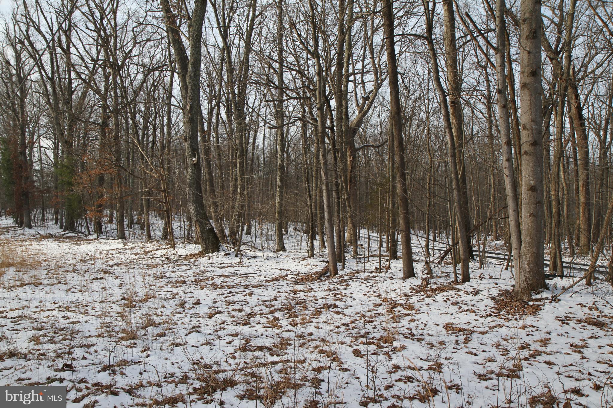 Lot 2 Watson Road Leesburg, VA 20175 - Photo 1 of 5 Gallery Image 1