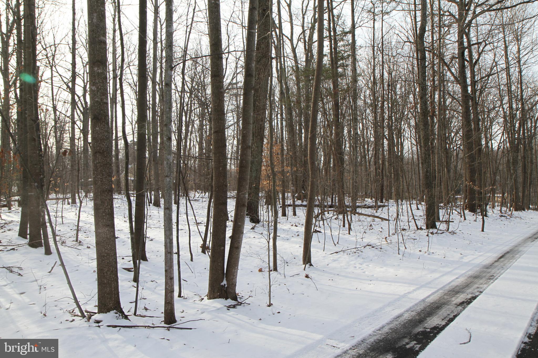Lot 2 Watson Road Leesburg, VA 20175 - Photo 4 of 5 Gallery Image 4