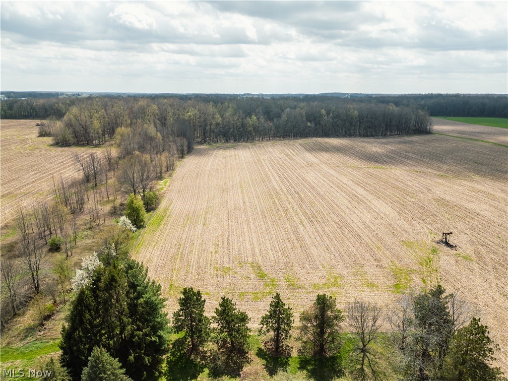 Steiner Road Creston, OH 44217 - Photo 4 of 5