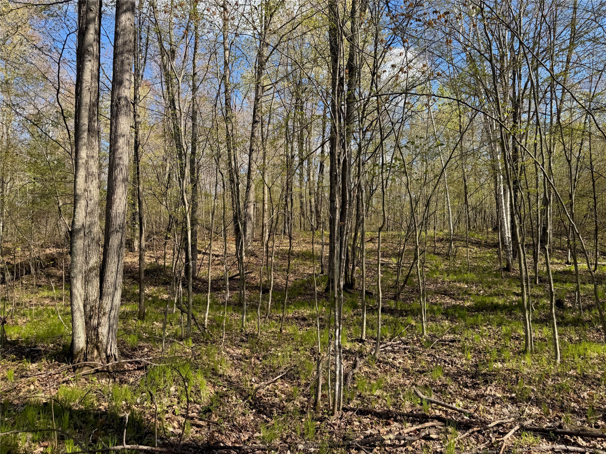 Lot 7 Trapper Trail Hayward, WI 54843 - Photo 23 of 42