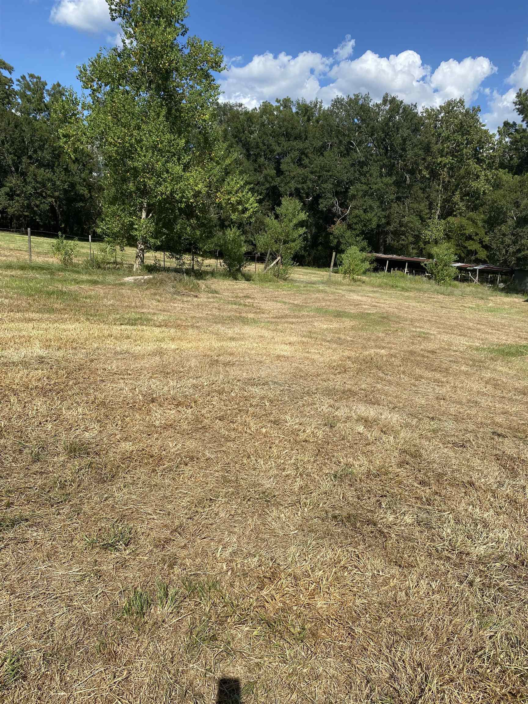 7540 Broussard Road Beaumont, TX 77713 - Photo 4 of 9