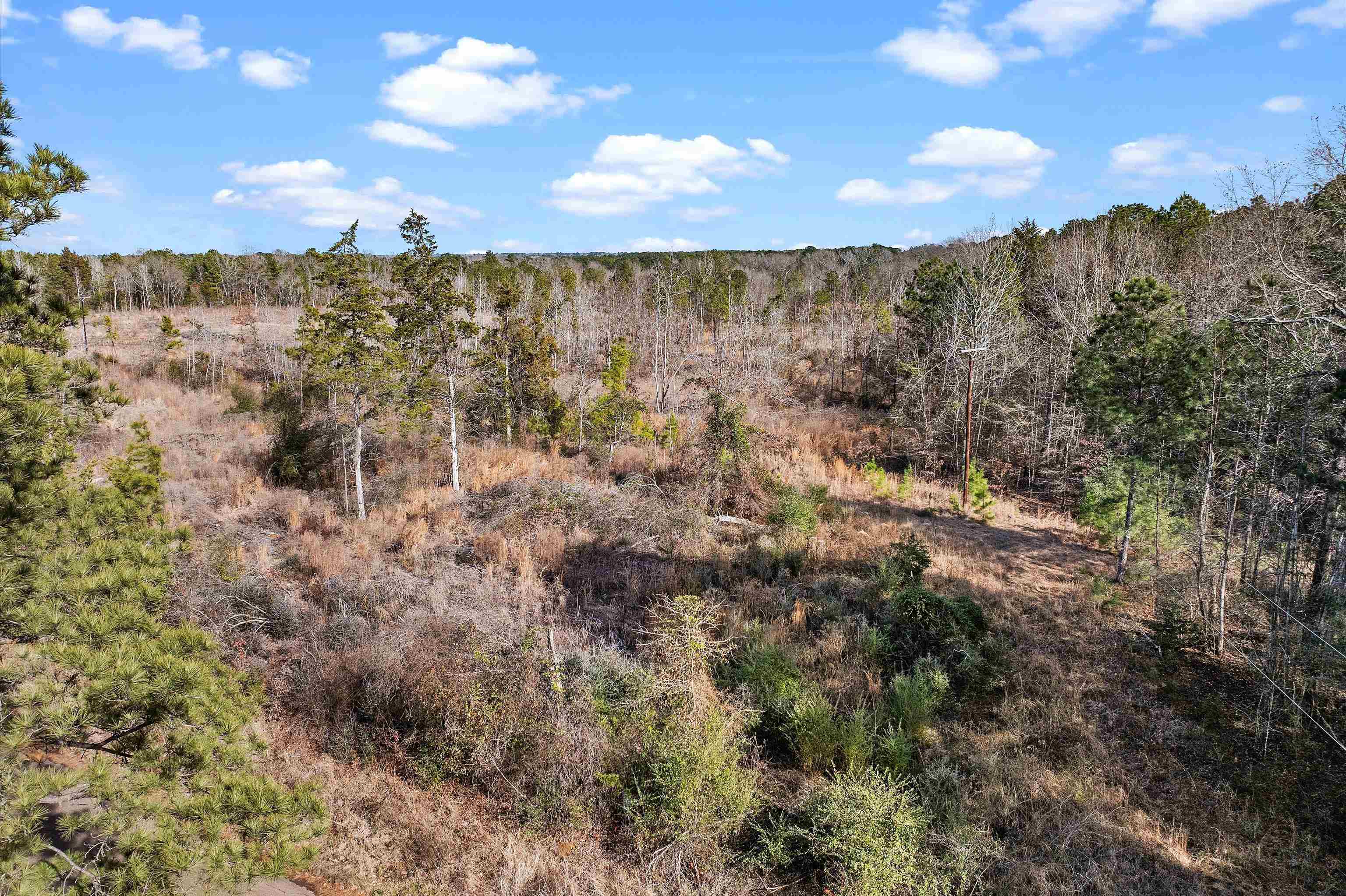 Tbd Baker Bridge Road Marshall, TX 75670 - Photo 2 of 10 Gallery Image 2