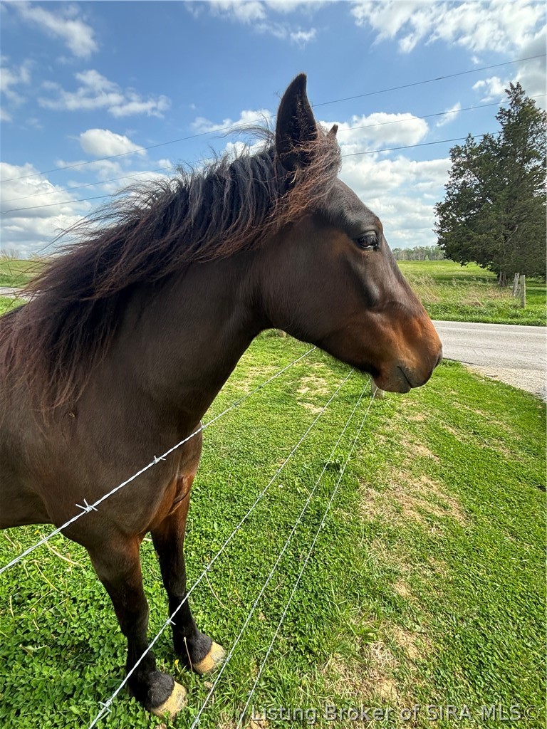 1971 North Naugle Road Salem, IN 47167 - Photo 4 of 65