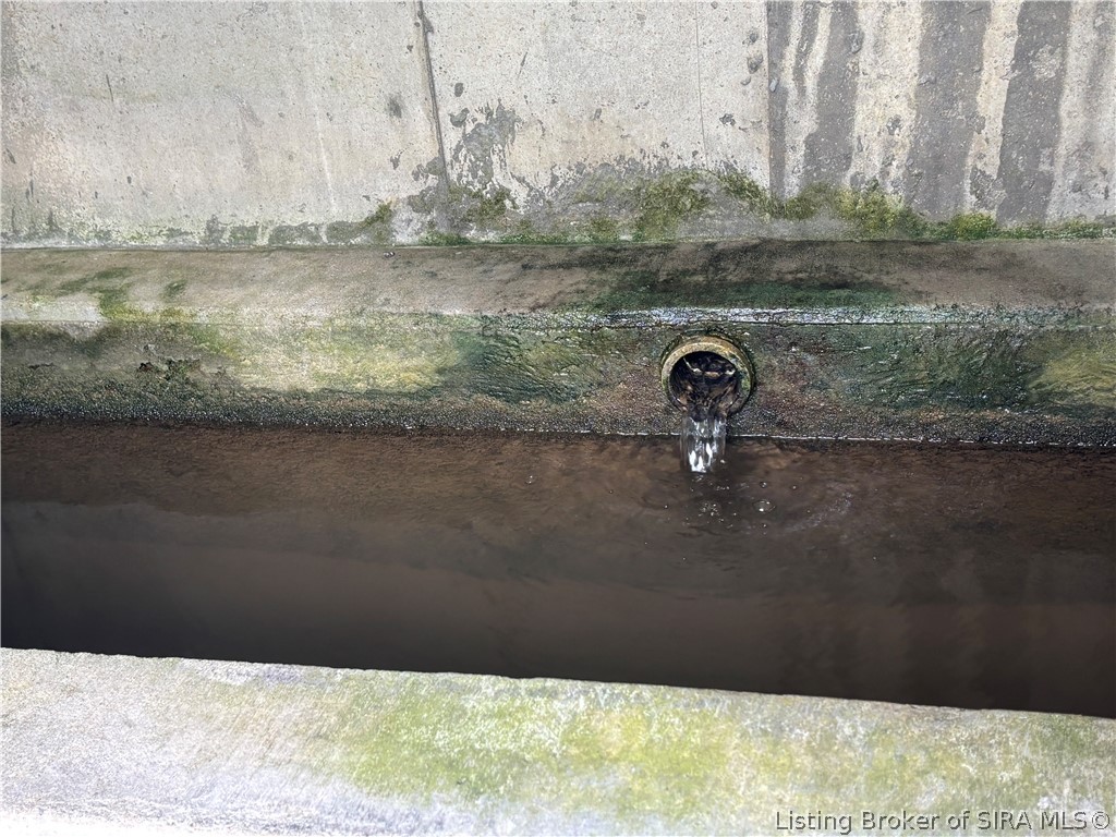 1971 North Naugle Road Salem, IN 47167 - Photo 51 of 65 Spring water