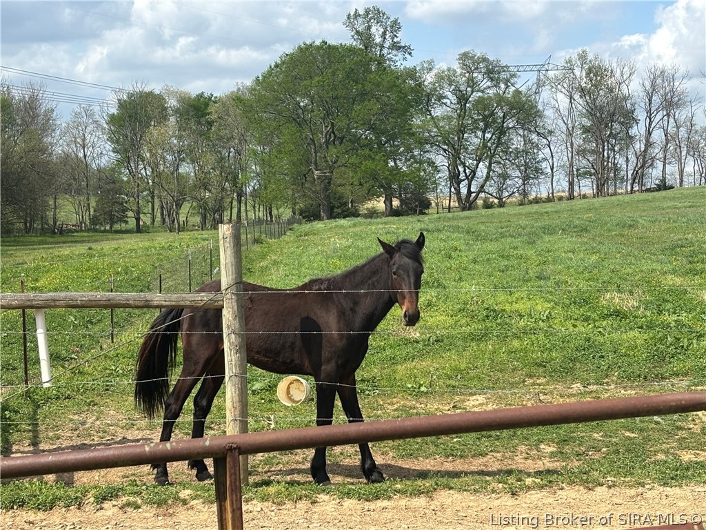 1971 North Naugle Road Salem, IN 47167 - Photo 52 of 65 Pasture behind barn