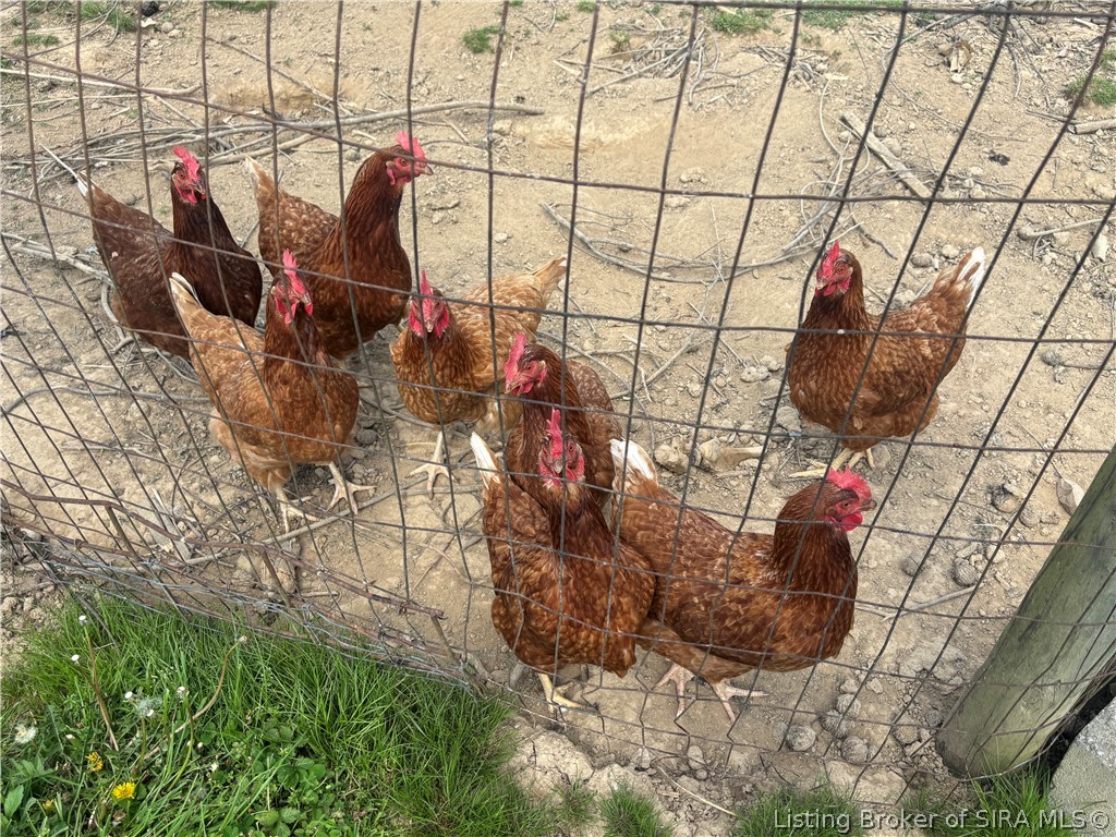 1971 North Naugle Road Salem, IN 47167 - Photo 55 of 65