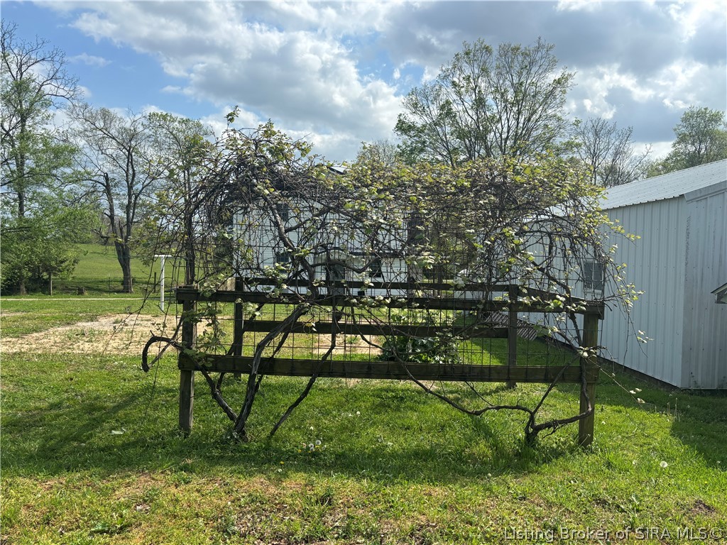 1971 North Naugle Road Salem, IN 47167 - Photo 61 of 65 Active Concord grapevine