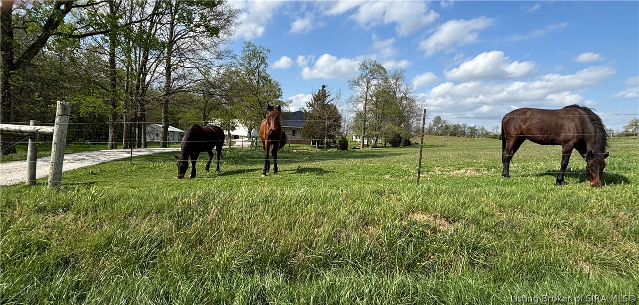 1971 North Naugle Road Salem, IN 47167 - Photo 8 of 65 Multiple pastures