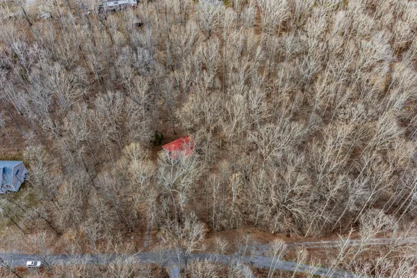 a view of a dry yard