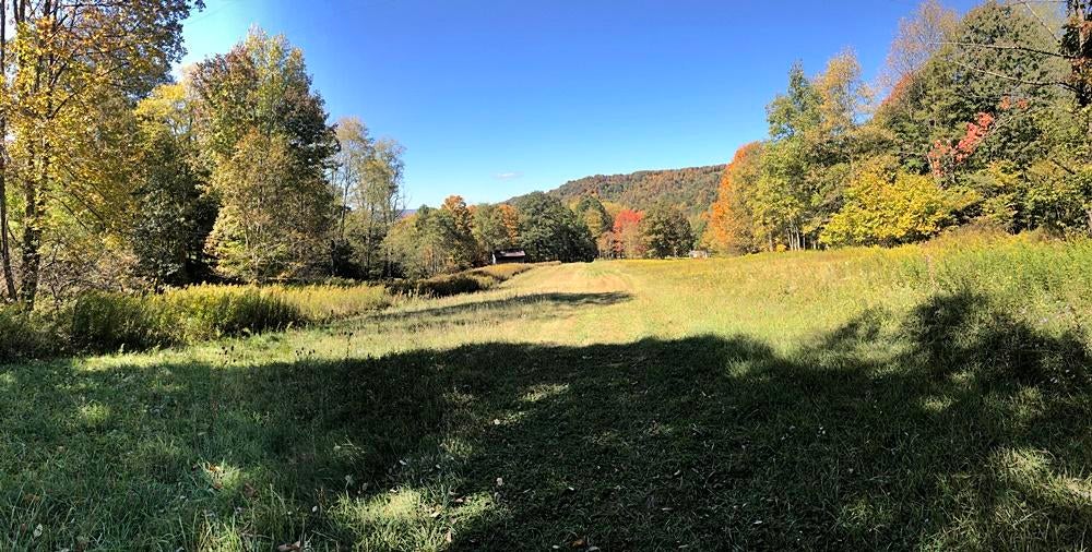 Dry Branch Road Slatyfork, WV 26291 - Photo 9 of 9 Gallery Image 9