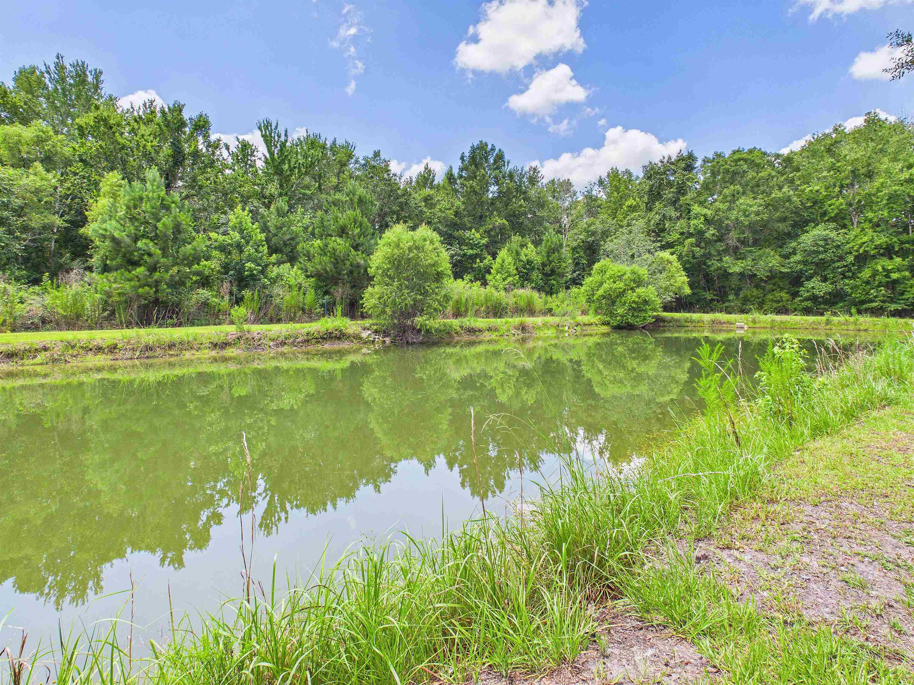 304 Limestone Road Monticello, FL 32344 - Photo 16 of 70
