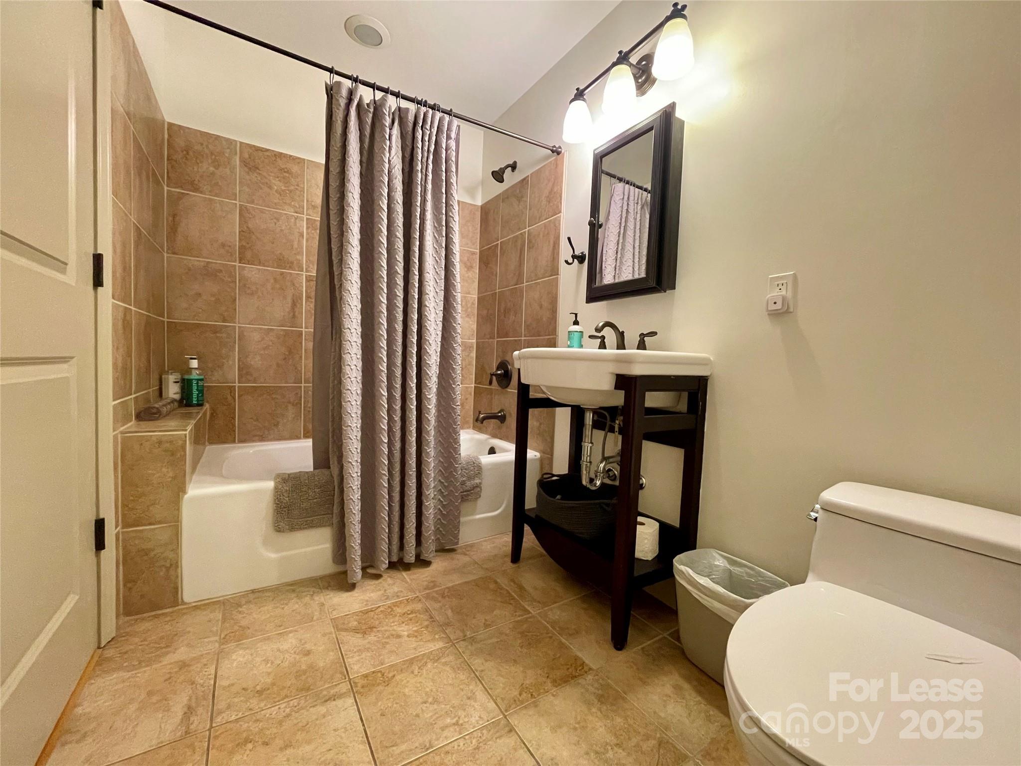 5 West Walnut Street, Unit 202 Asheville, NC 28801 - Photo 13 of 14 a bathroom with a toilet a sink and bathtub