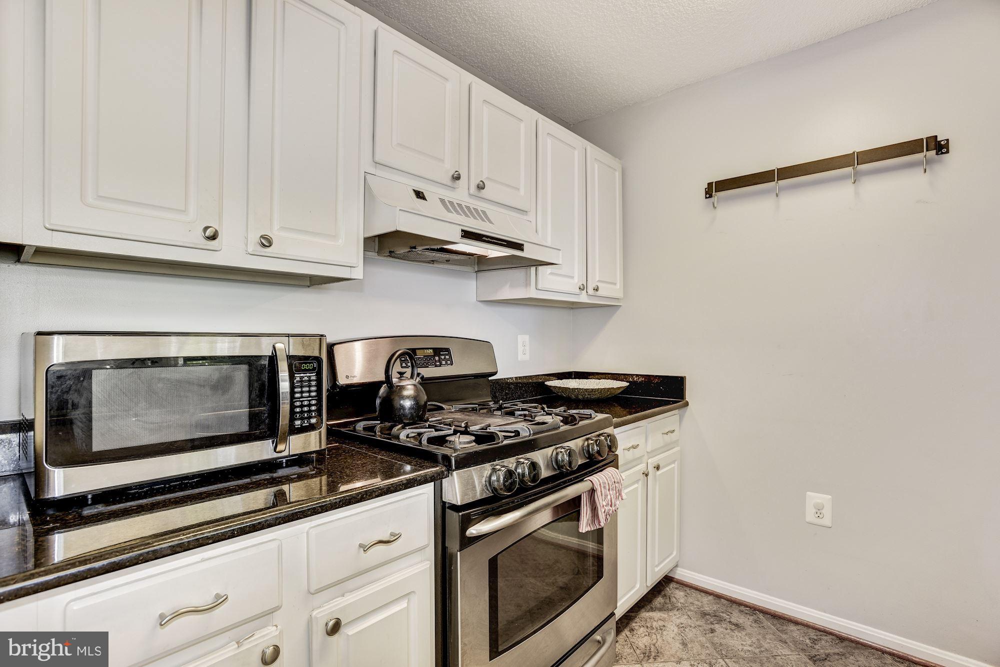 21012 Timber Ridge Terrace, Unit 301 Ashburn, VA 20147 - Photo 17 of 45 Gallery Image 17