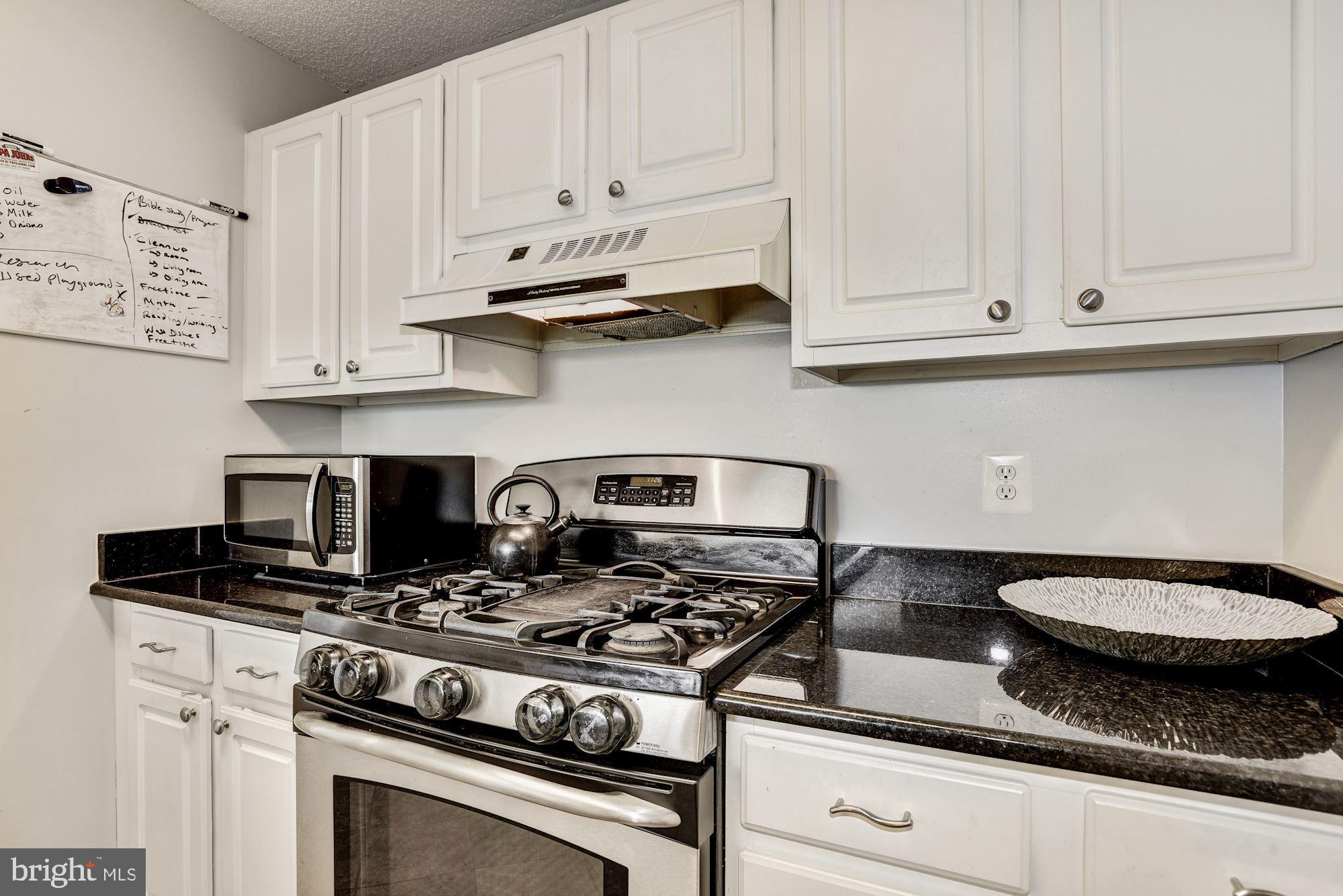 21012 Timber Ridge Terrace, Unit 301 Ashburn, VA 20147 - Photo 18 of 45 Gallery Image 18