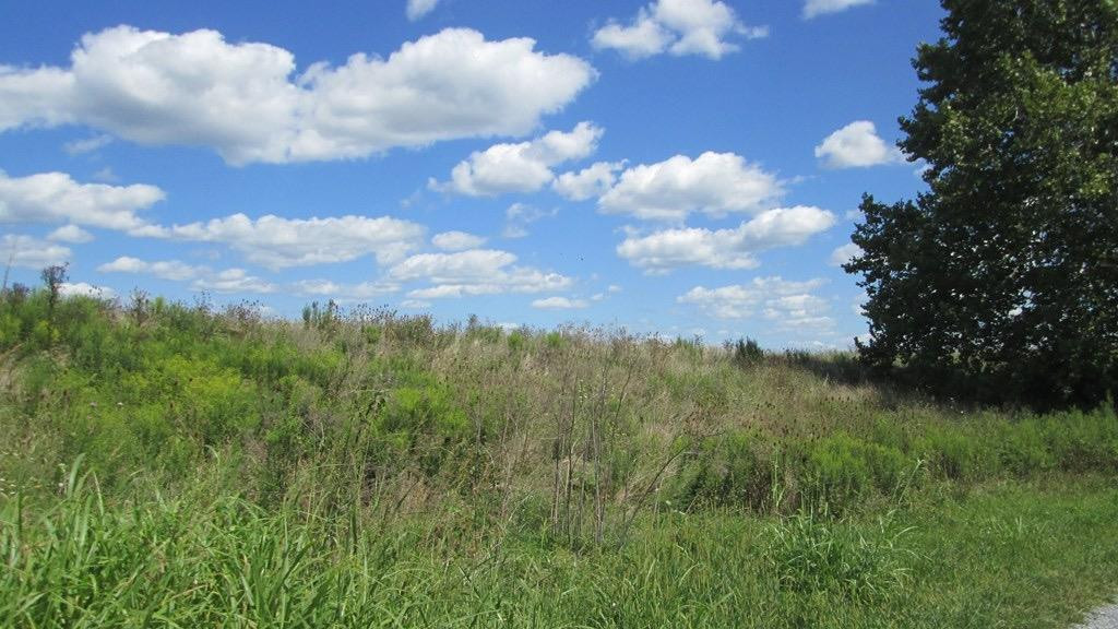 0 Mann Road Mount Olivet, KY 41064 - Photo 2 of 3 Listing Photo