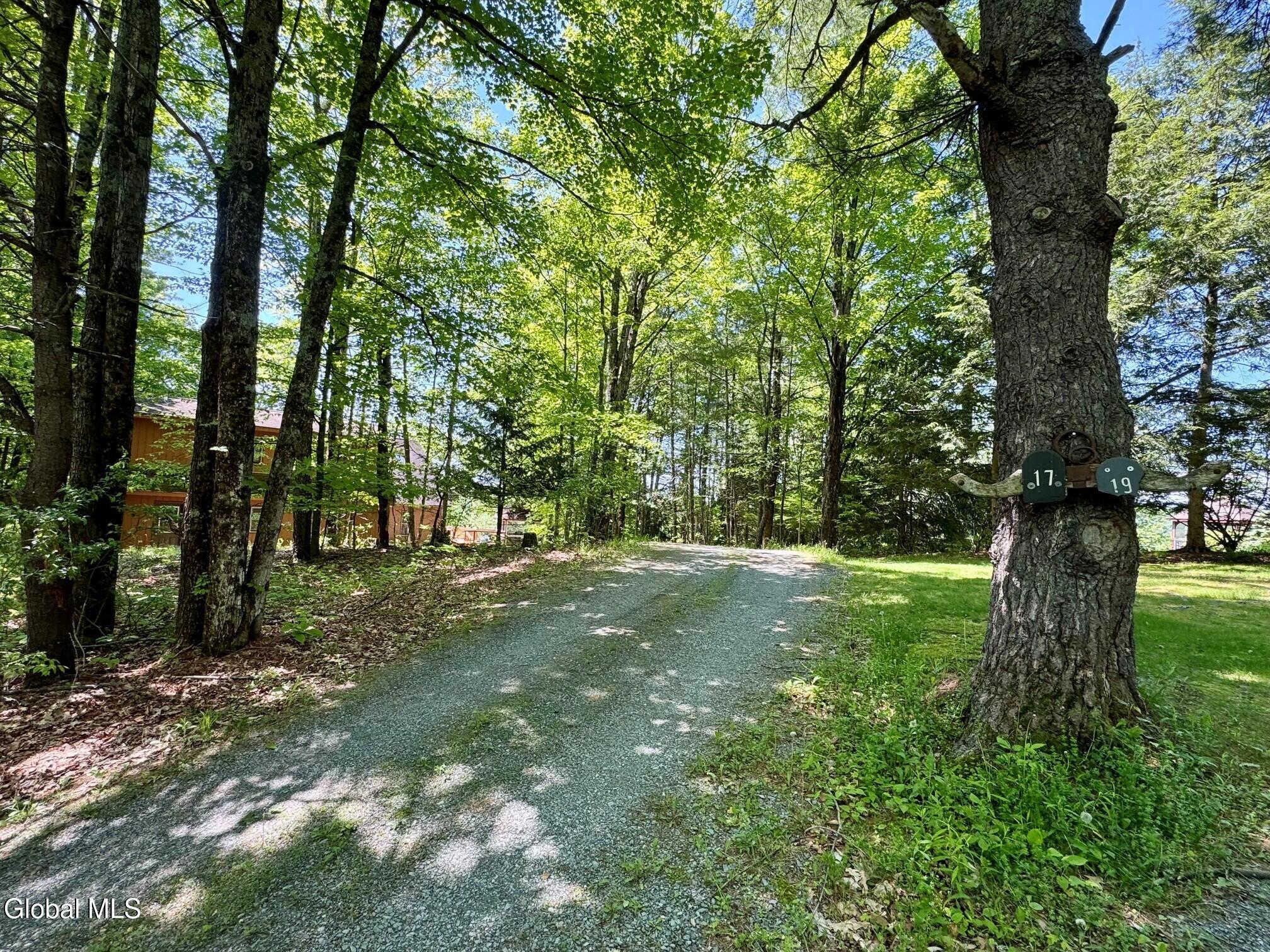 17 Ridgecrest Way Whitehall, NY 12887 - Photo 47 of 56 Doug 1
