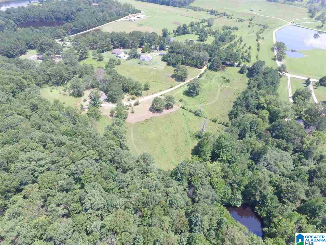 1703 Slasham Road Ashville, AL 35953 - Photo 1 of 26