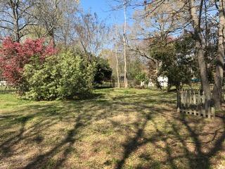 8258 Delhi Road North Charleston, SC 29406 - Photo 14 of 14 IMG_8784