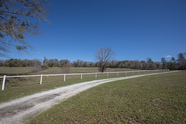 220 Cottonton Rd Camp Hill Pittsview, undefined 36871 - Photo 44 of 46