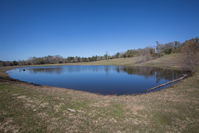 220 Cottonton Rd Camp Hill Pittsview, undefined 36871 - Photo 45 of 46