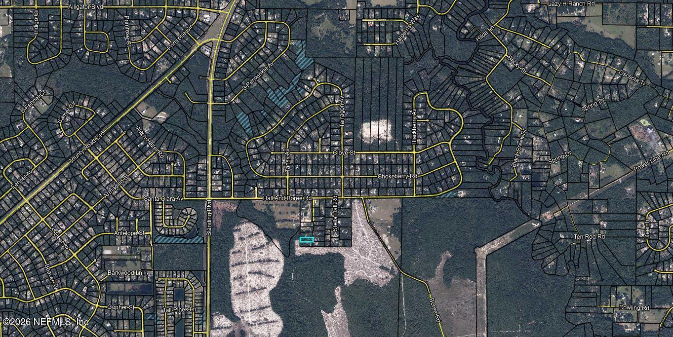 3216 Mill Creek Road Middleburg, FL 32068 - Photo 2 of 3 map (2)