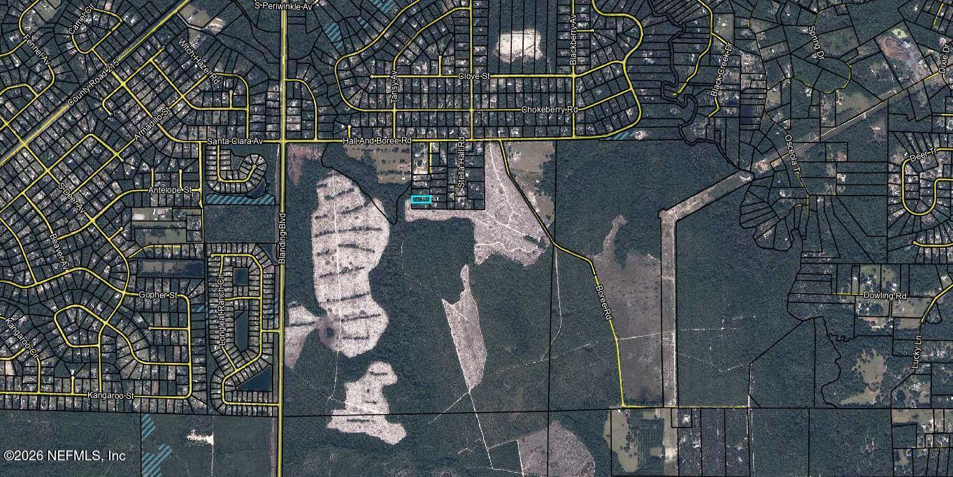 3216 Mill Creek Road Middleburg, FL 32068 - Photo 3 of 3 map (1)