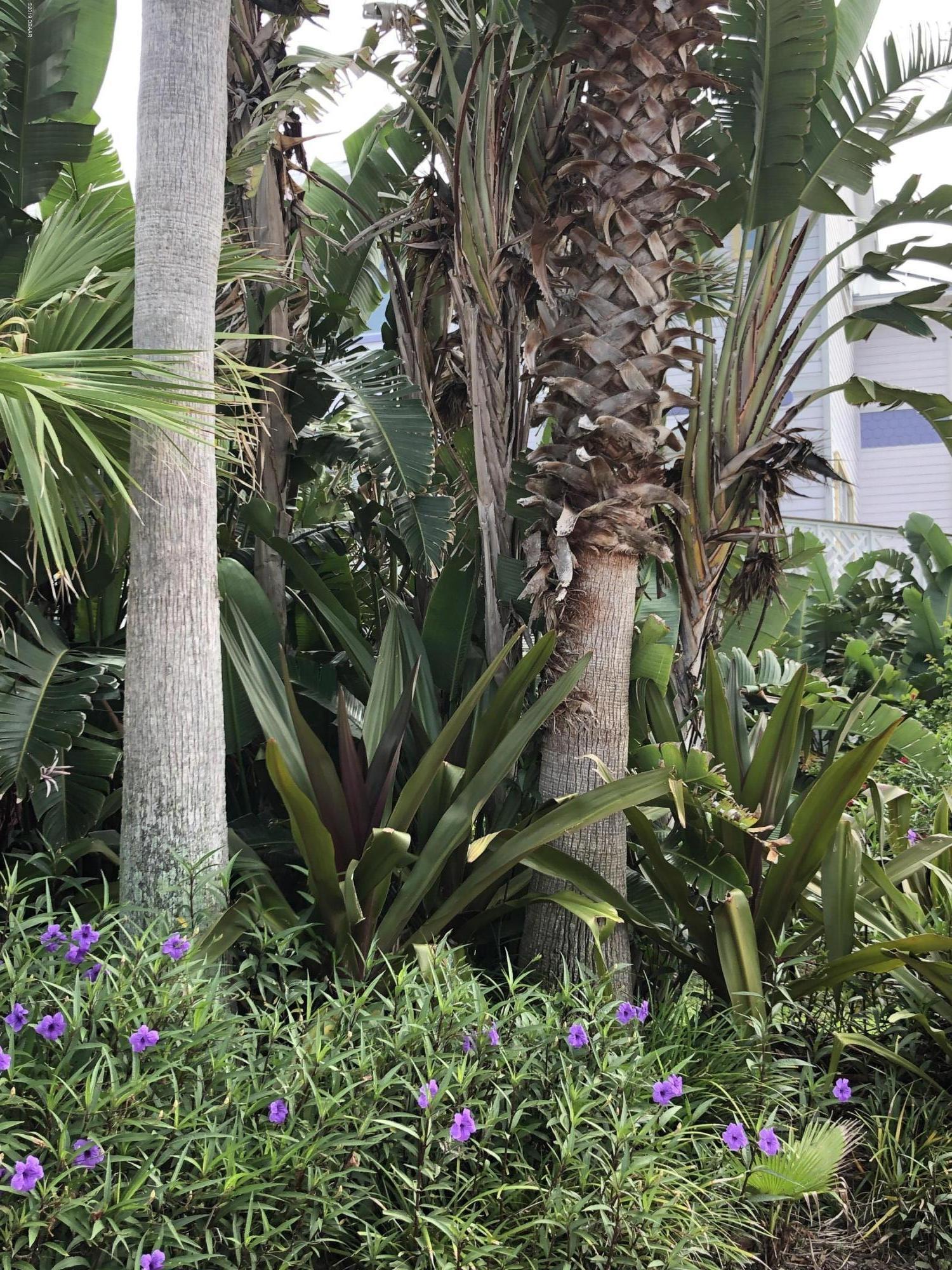 3000 Ocean Shore Boulevard, Unit 3 Ormond Beach, FL 32176 - Photo 11 of 53 IMG_3833