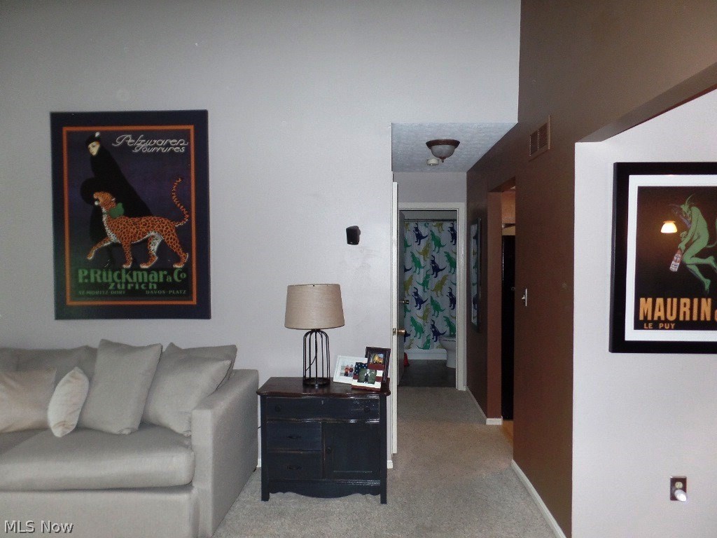 1245 Canyon View Road Northfield, OH 44067 - Photo 4 of 27 Gallery Image 4