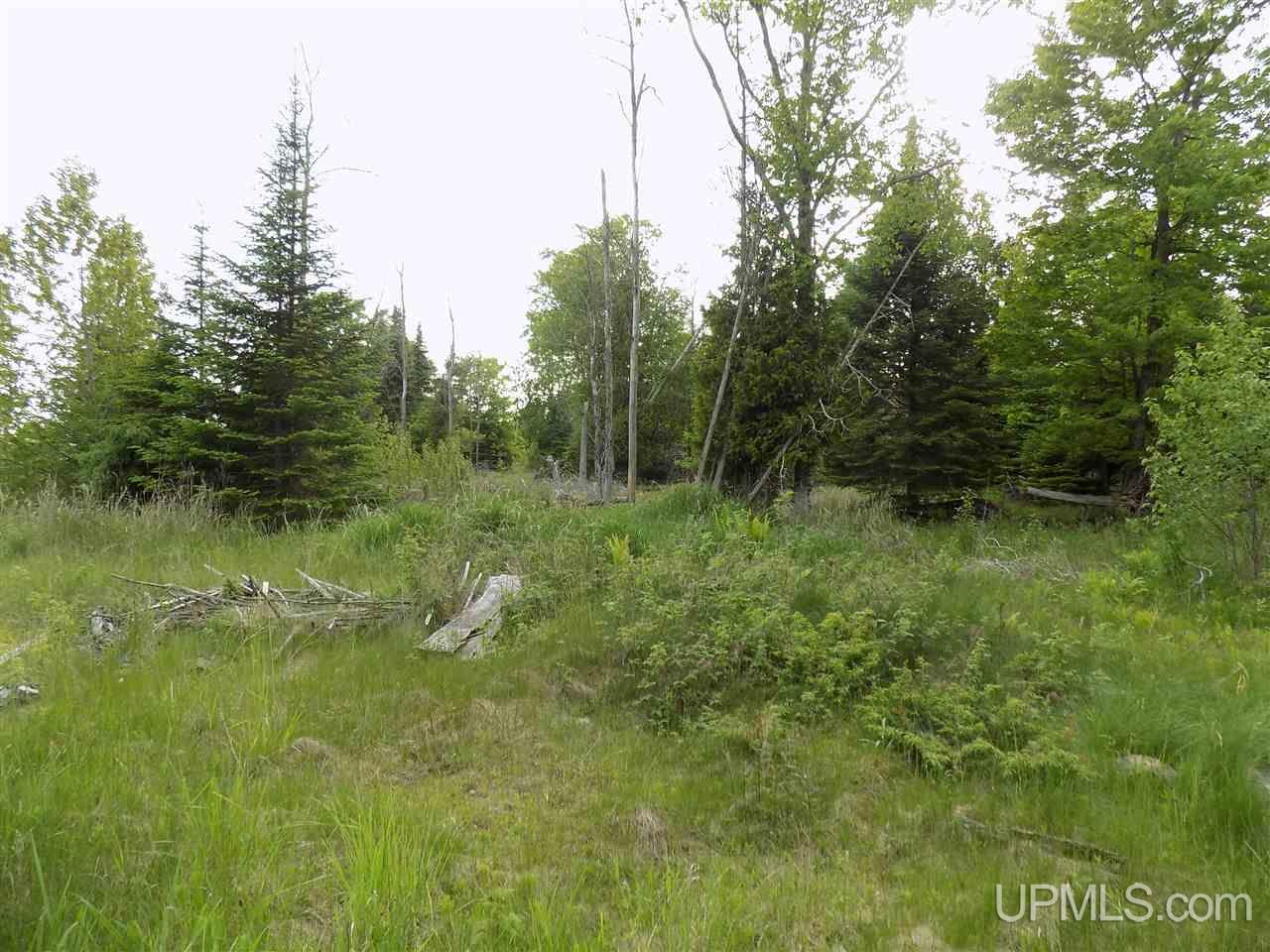9575 Little Harbor Road Manistique, MI 49854 - Photo 10 of 32 Gallery Image 10