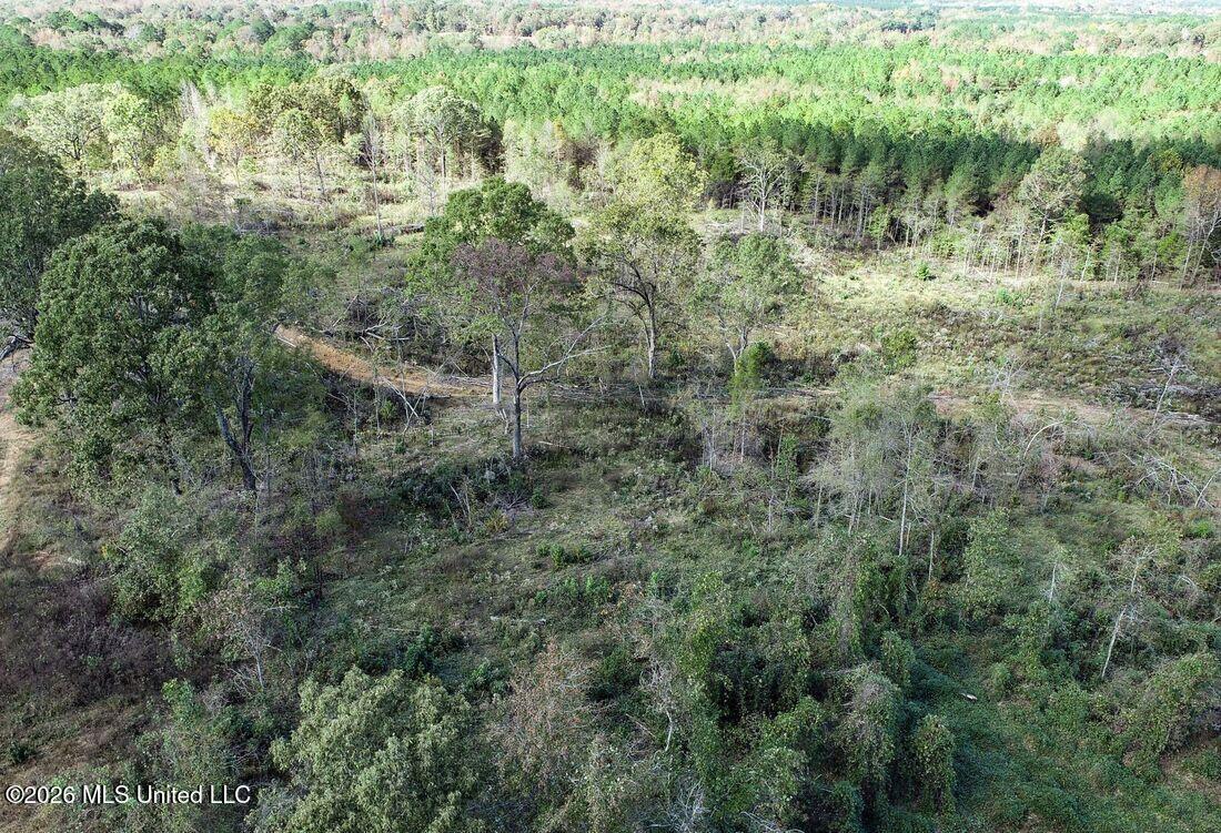 154 County Road Tillatoba, MS 38961 - Photo 18 of 58 4kgrdn57-orig_orig