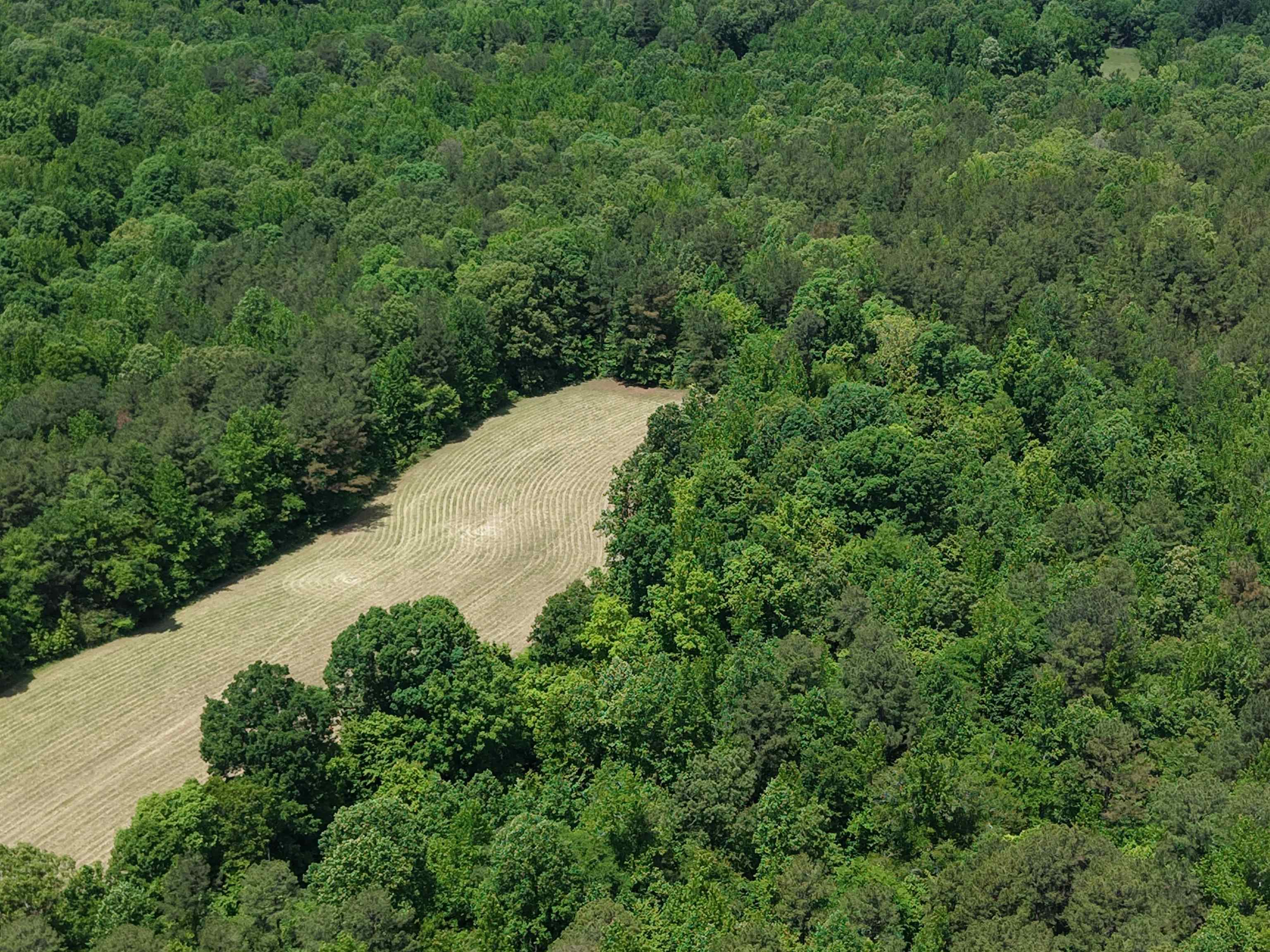 0 Silerton Road Toone, TN 38381 - Photo 9 of 24