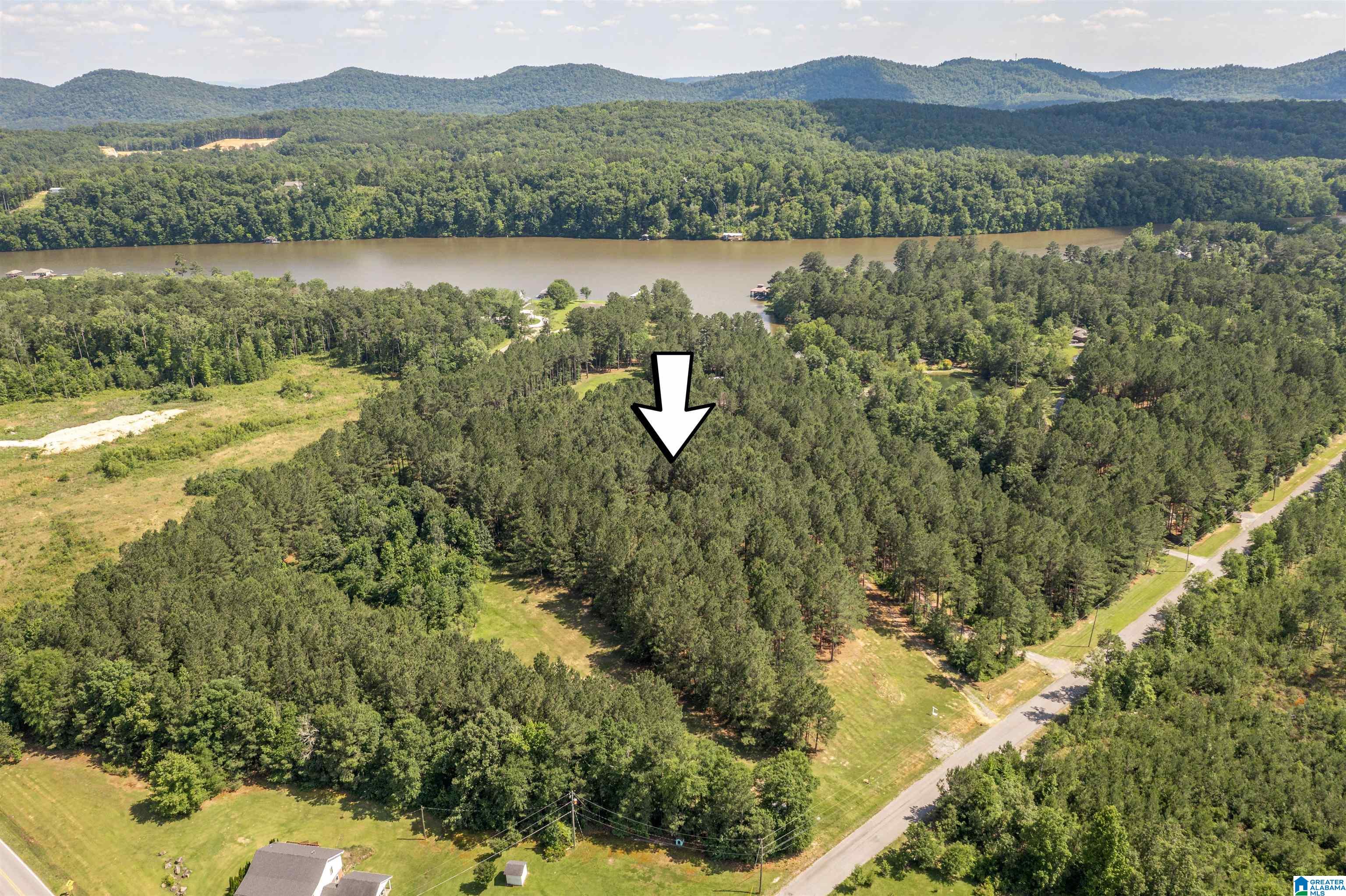 89 Golden Pond Road, Unit 9 Ashville, AL 35953 - Photo 20 of 35