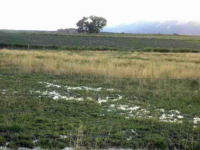 1055 225th Road Rifle, CO 81650 - Photo 7 of 9 a view of mountain with lake view