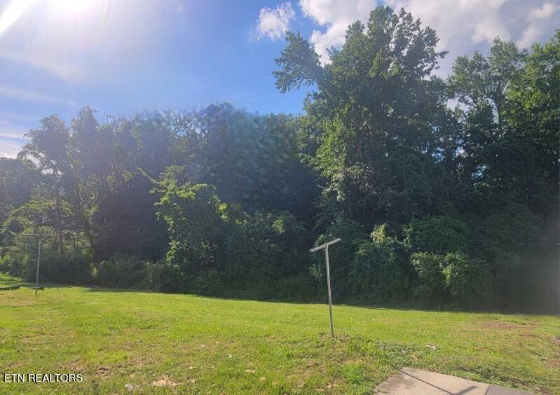 942 Mount View Road Robbins, TN 37852 - Photo 4 of 13 9