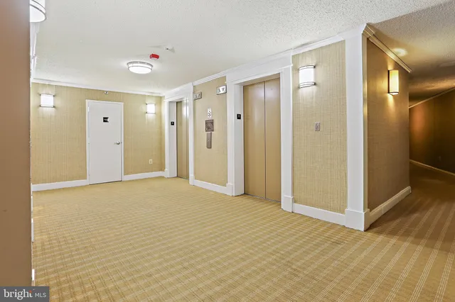 a outdoor view with patio