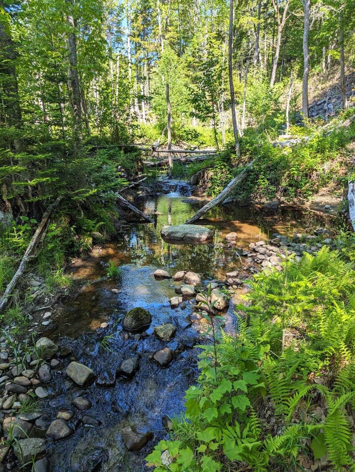 Lot 7-4 Happytown Road Orland, ME 04472 - Photo 11 of 26 Stream