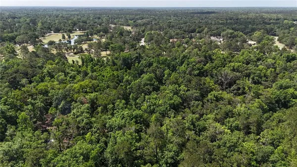 an aerial view of residential houses with outdoor space and trees