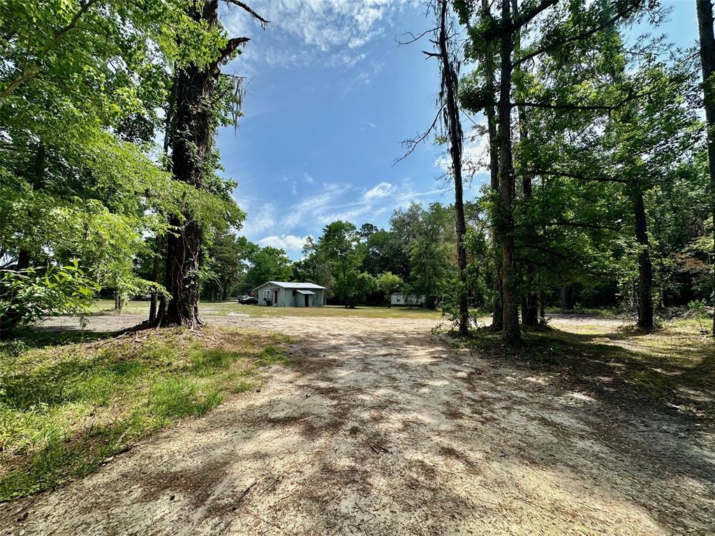 12100 Northwest US Highway 441 Alachua, FL 32615 - Photo 21 of 34 a view of a tree with a yard